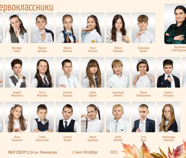 Виньетки